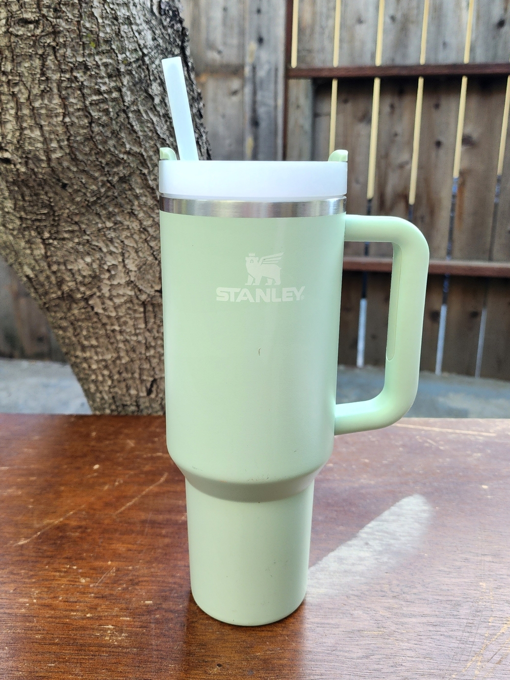 Stanley Quencher H2.0 FlowState Tumbler 40 oz Mint